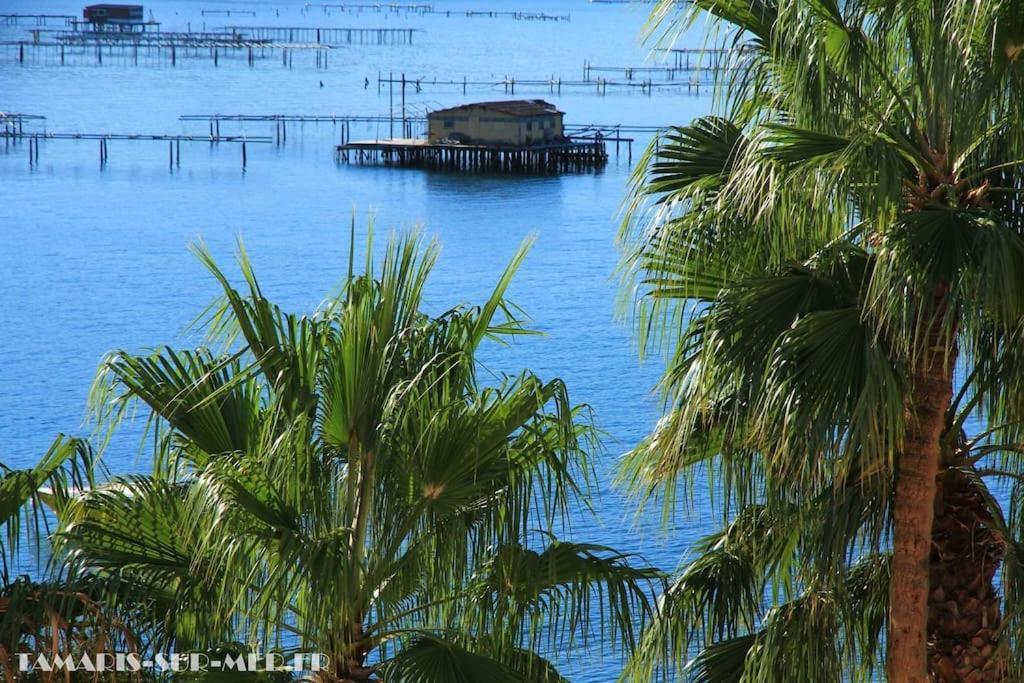 Port tamaris Apartment La Seyne-sur-Mer Bagian luar foto